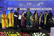 VIT 4 (241)